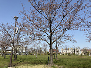 広尾防災公園